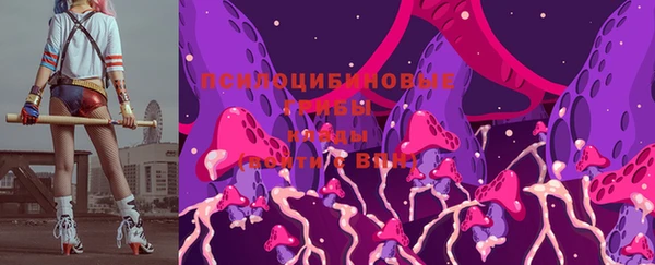 гидропоника Абаза