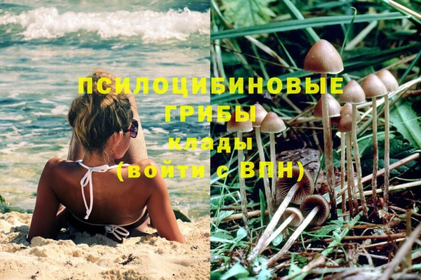 МДПВ Алексин