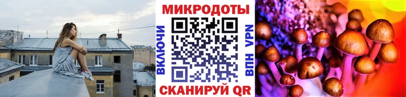 Псилоцибиновые грибы Psilocybe  Сусуман 